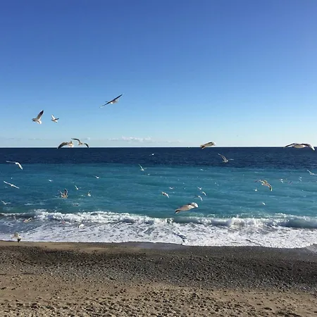 Palais Elisabeth Promenade Des Nice
