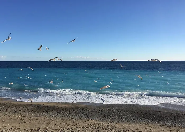 Palais Elisabeth Promenade Des 니스